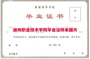 湖州职业技术学院毕业证样本图片