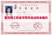 重庆理工职业学院毕业证样本图片