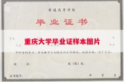 重庆大学毕业证样本图片