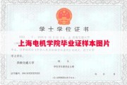上海电机学院毕业证样本图片