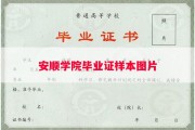 安顺学院毕业证样本图片