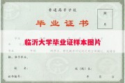 临沂大学毕业证样本图片