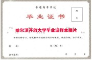 哈尔滨开放大学毕业证样本图片
