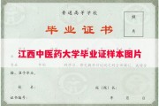 江西中医药大学毕业证样本图片