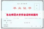 东北师范大学毕业证样本图片