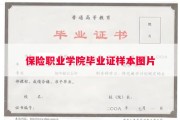 保险职业学院毕业证样本图片