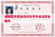 湖南软件职业技术大学毕业证样本图片
