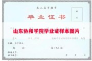 山东协和学院毕业证样本图片