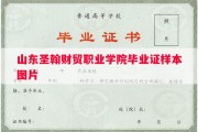 山东圣翰财贸职业学院毕业证样本图片