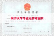 同济大学毕业证样本图片