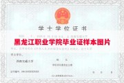 黑龙江职业学院毕业证样本图片
