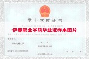 伊春职业学院毕业证样本图片