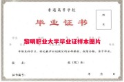 黎明职业大学毕业证样本图片