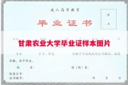 甘肃农业大学毕业证样本图片