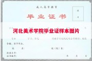 河北美术学院毕业证样本图片