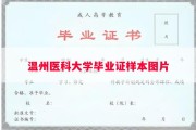 温州医科大学毕业证样本图片