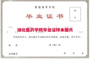 湖北医药学院毕业证样本图片
