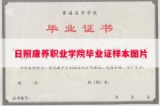 日照康养职业学院毕业证样本图片
