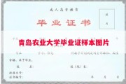 青岛农业大学毕业证样本图片