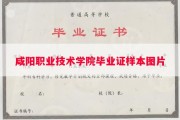 咸阳职业技术学院毕业证样本图片