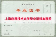 上海应用技术大学毕业证样本图片