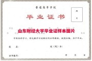 山东财经大学毕业证样本图片