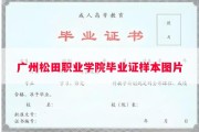 广州松田职业学院毕业证样本图片