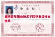 重庆青年职业技术学院毕业证样本图片