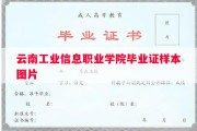 云南工业信息职业学院毕业证样本图片