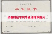 长春财经学院毕业证样本图片