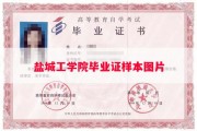 盐城工学院毕业证样本图片