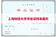 上海财经大学毕业证样本图片