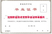 沈阳职业技术学院毕业证样本图片