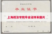 上海政法学院毕业证样本图片