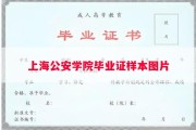 上海公安学院毕业证样本图片