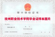 抚州职业技术学院毕业证样本图片