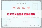 石河子大学毕业证样本图片
