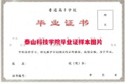 泰山科技学院毕业证样本图片