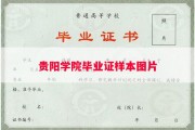 贵阳学院毕业证样本图片