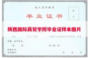 陕西国际商贸学院毕业证样本图片