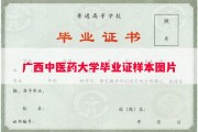 广西中医药大学毕业证样本图片