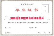 湖南信息学院毕业证样本图片