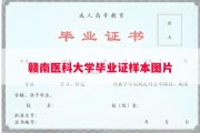 赣南医科大学毕业证样本图片