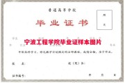 宁波工程学院毕业证样本图片