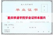 重庆移通学院毕业证样本图片