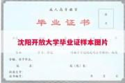 沈阳开放大学毕业证样本图片