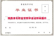 陕西青年职业学院毕业证样本图片