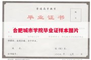 合肥城市学院毕业证样本图片