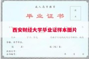 西安财经大学毕业证样本图片
