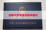 安徽大学毕业证样本图片
